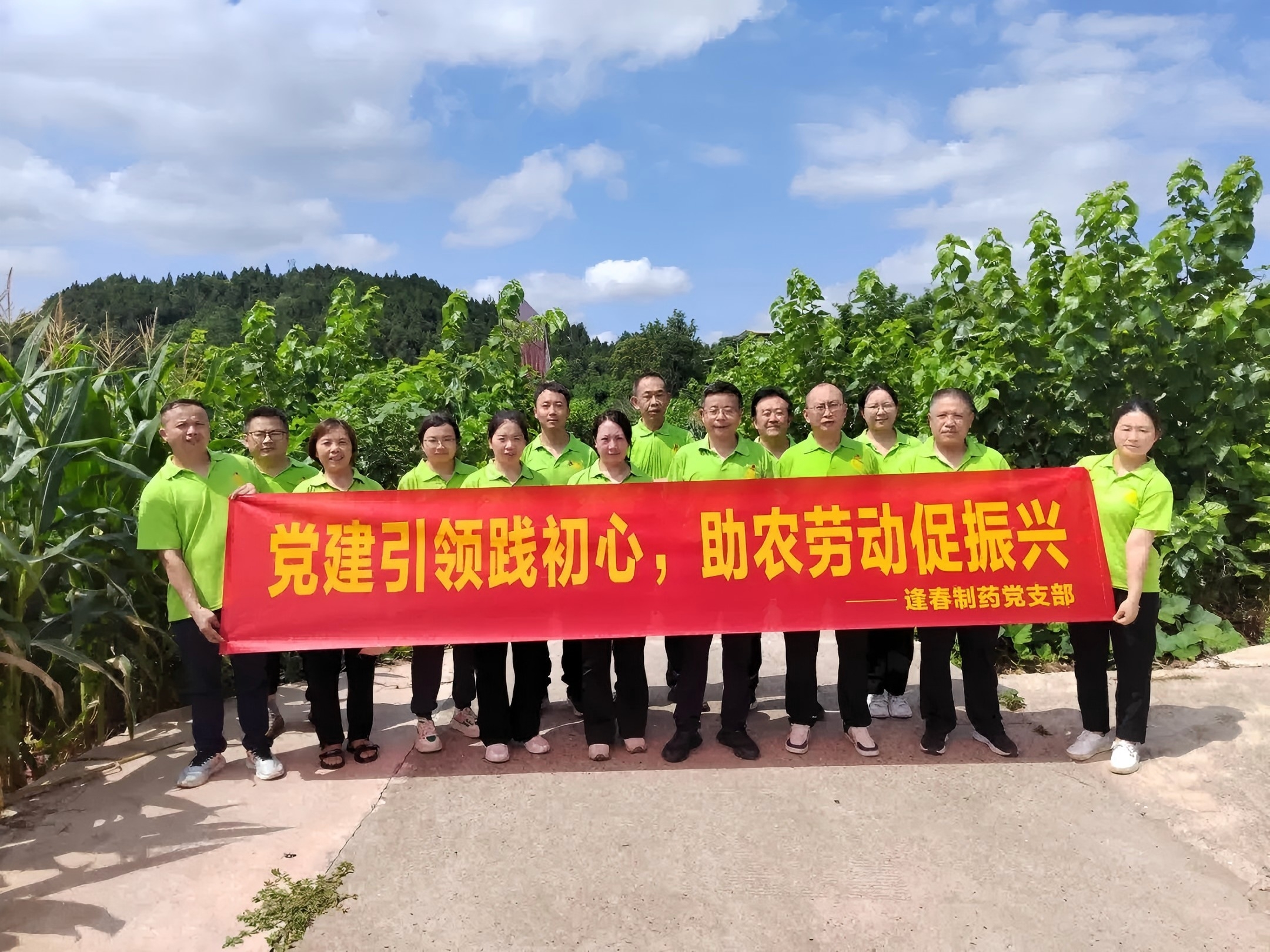 黨建引領踐初心，助農勞動促振興 ▏逢春制藥黨支部赴鄉村振興藥桑種植基地開展主題黨日活動